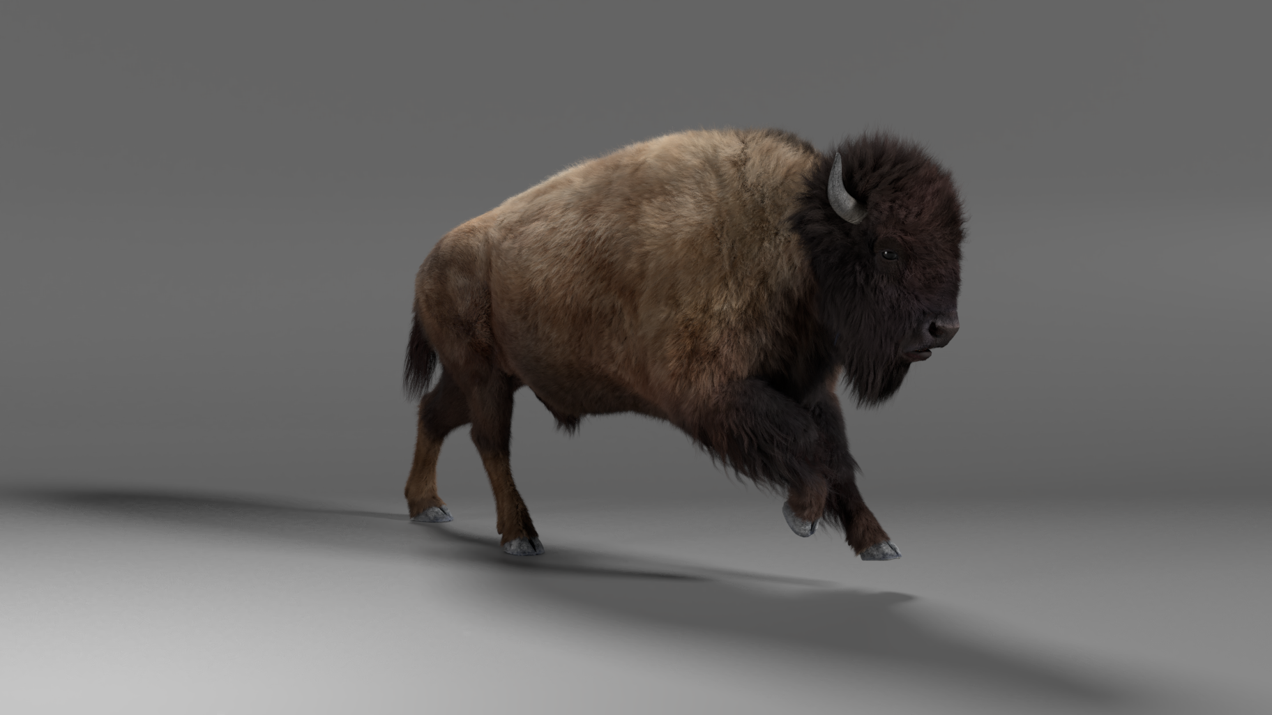 3D Animal | Bison Male Animated | VFX Grace