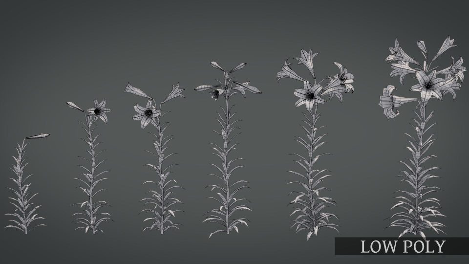 3D model flower base VR / AR / low-poly