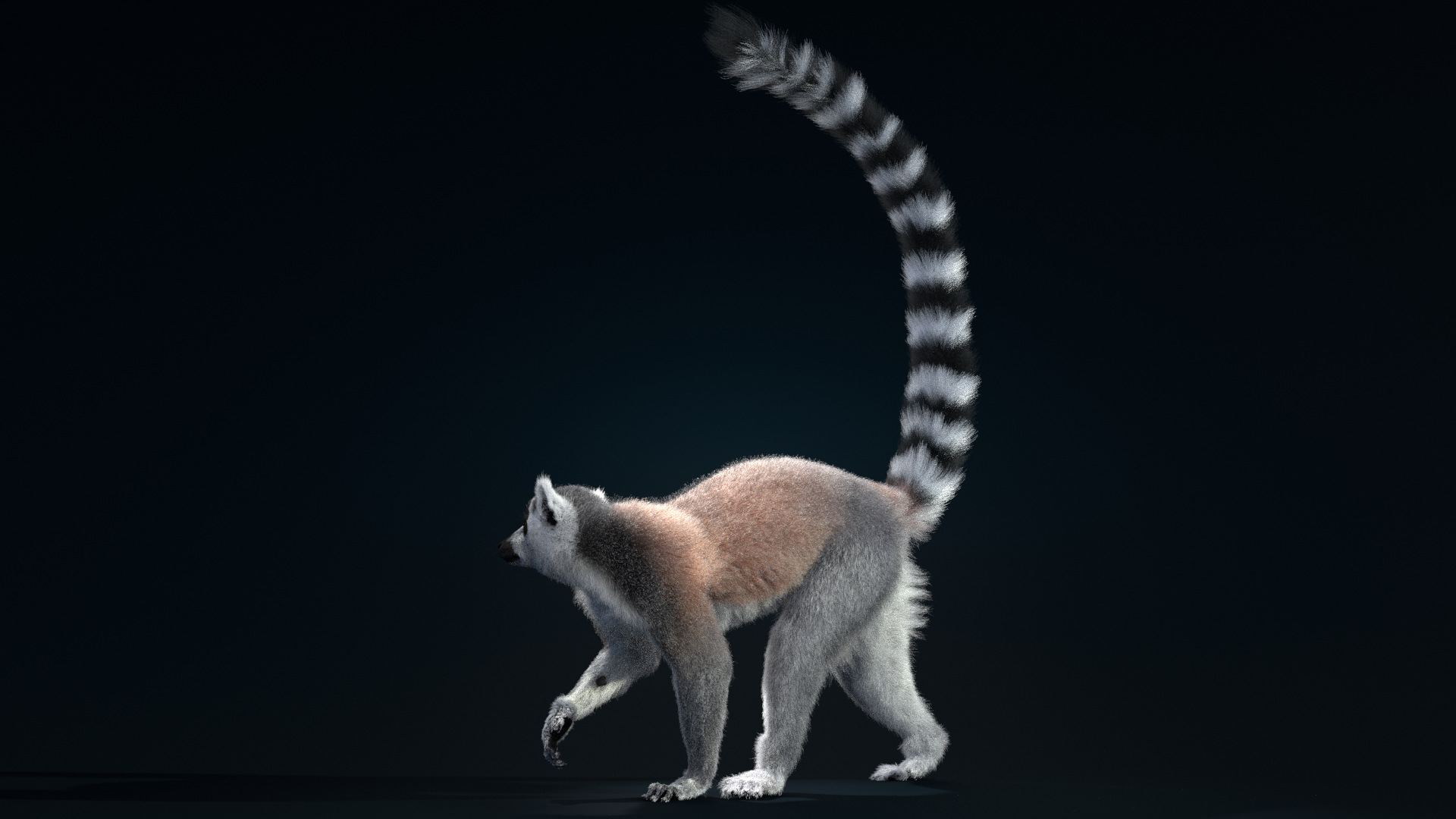 Lemurs - Animal Cartoon - CleanPNG / KissPNG