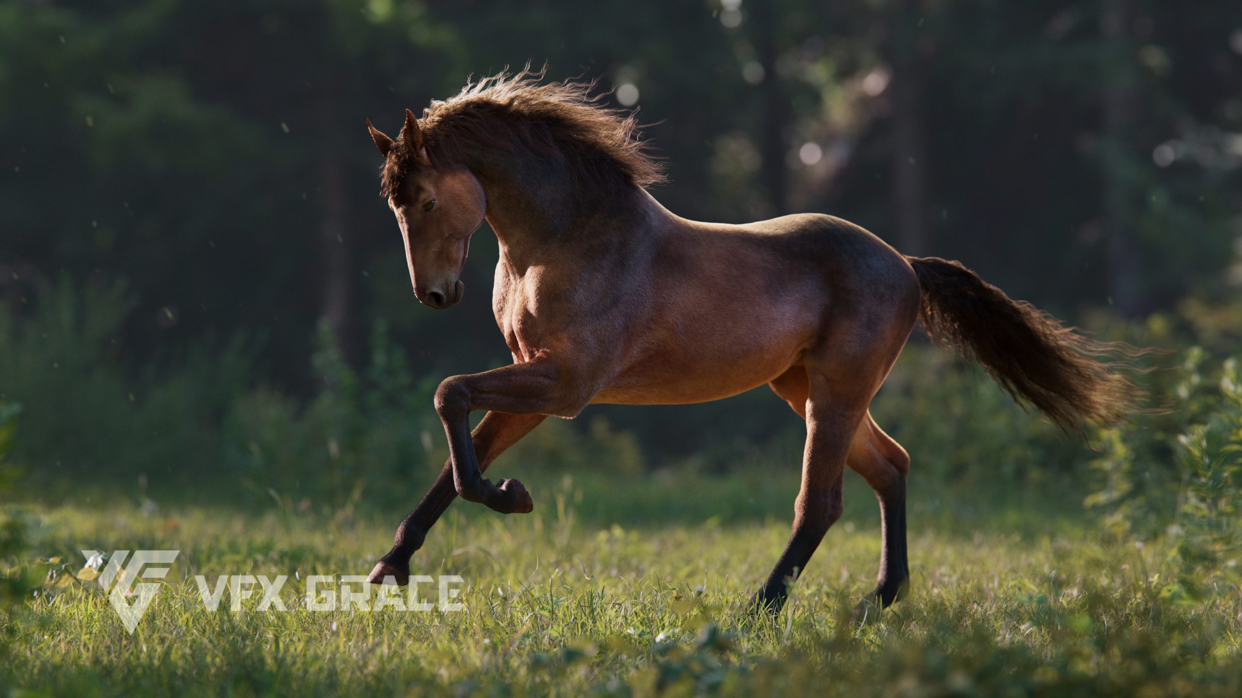 70+ Horse Run Sequence Stock Illustrations, Royalty-Free Vector Graphics &  Clip Art - iStock