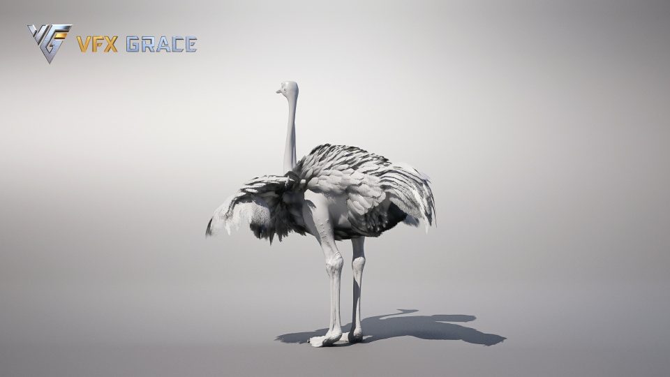 Ostrich Animation Ostrich Animated - UE Character Asset | VFX Grace