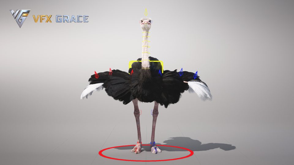 Ostrich Animation Ostrich Animated - UE Character Asset | VFX Grace