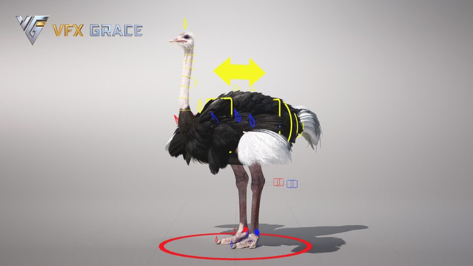 Ostrich Animation Ostrich Animated - UE Character Asset | VFX Grace