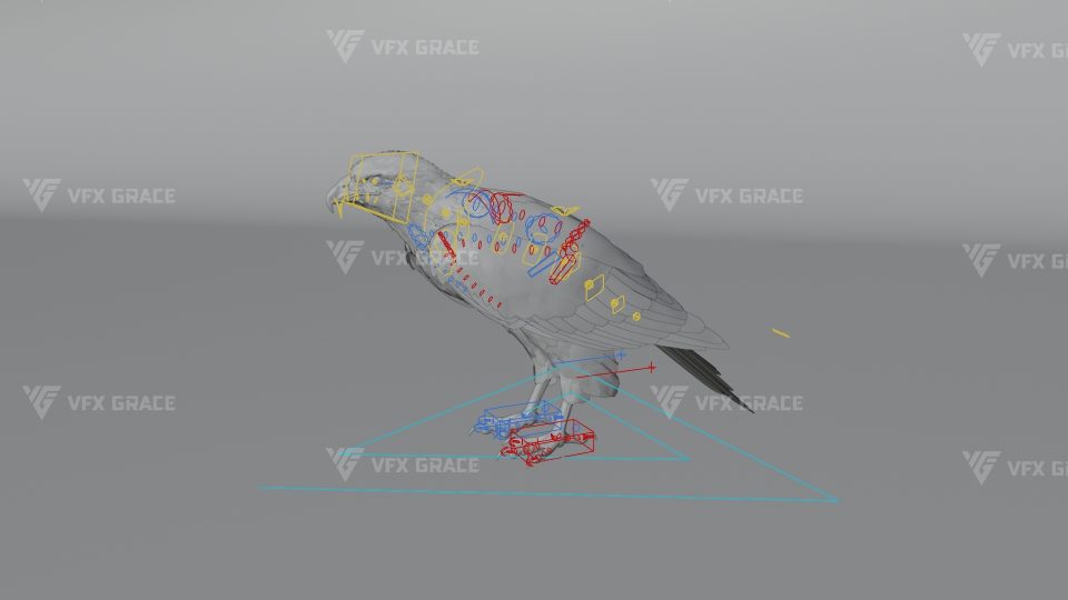 Black Kite 3D Animation Realistic Rigged Bird Model for Blender | VFX Grace
